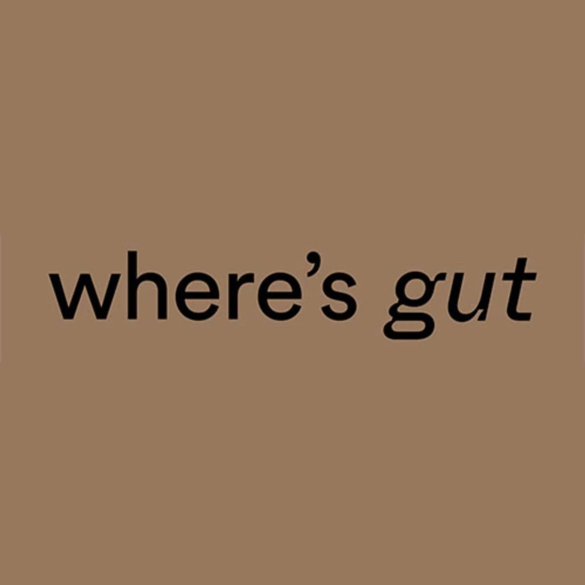Where's Gut Studio