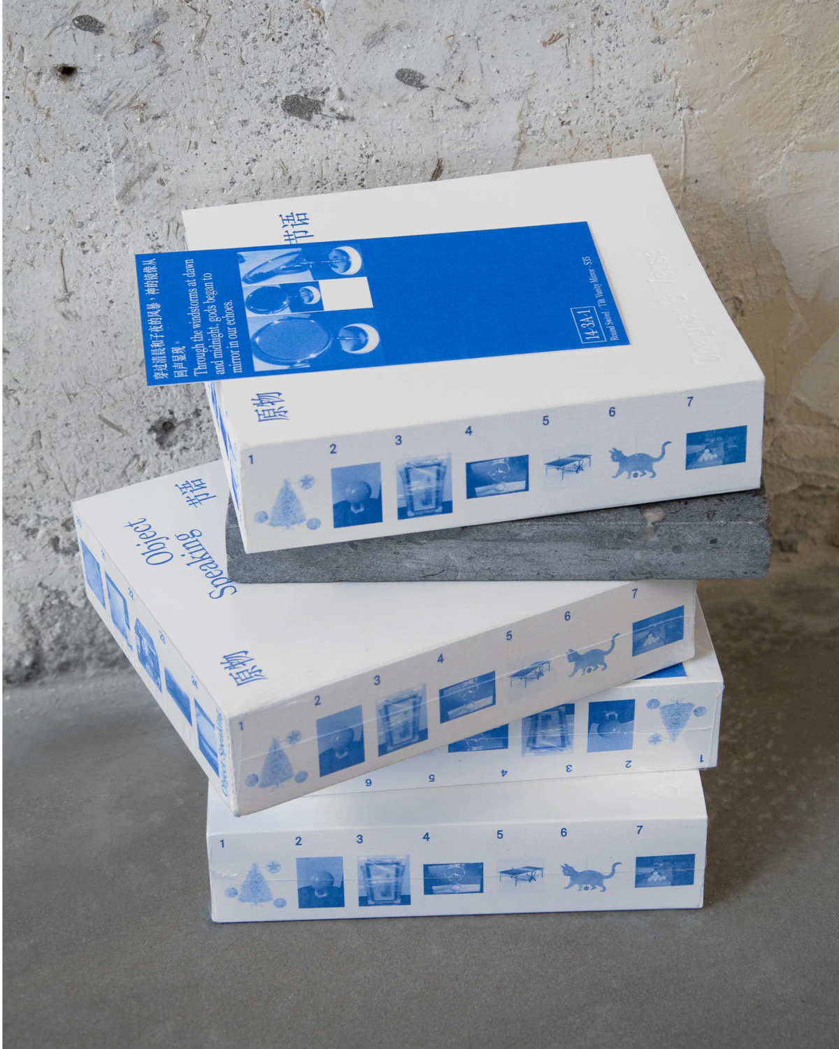 Object Speaking: Book
